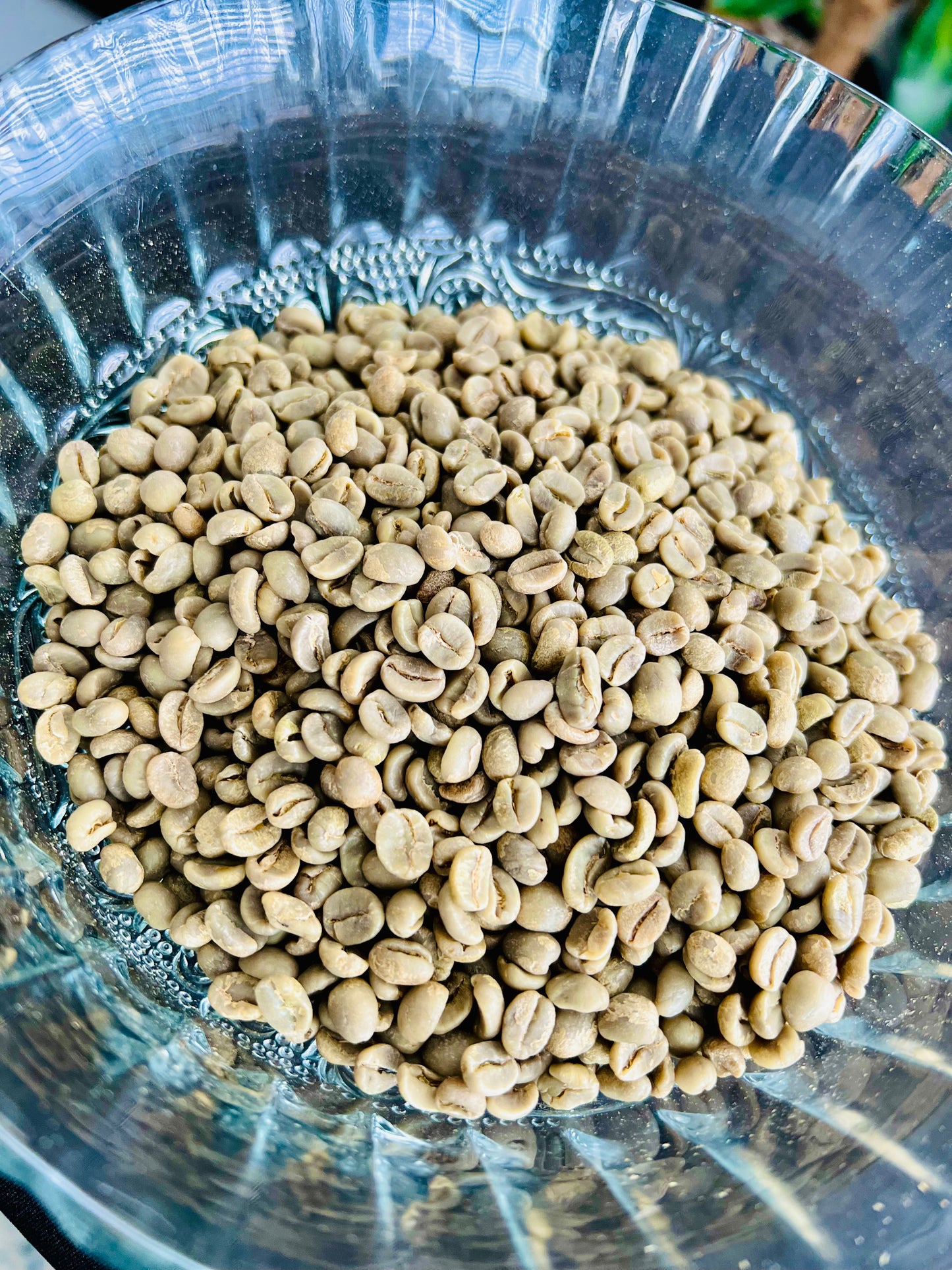 ETHIOPIA- NATURAL (Sep 22)