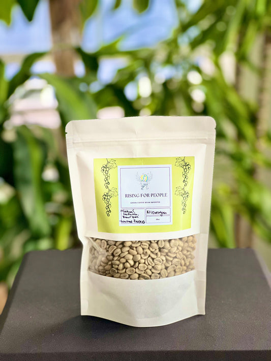 rising for people green coffee whole sale Nicaragua 